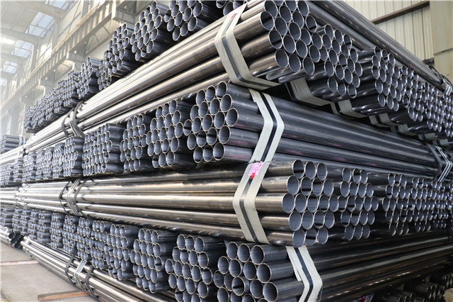 ���{����